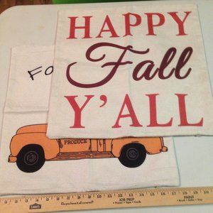 Set of 2 Fall pillow covers. 17" square.